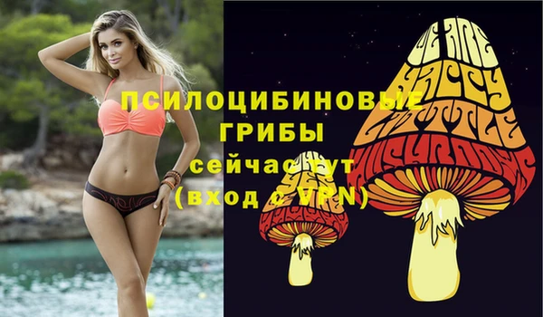 а пвп мука Краснослободск