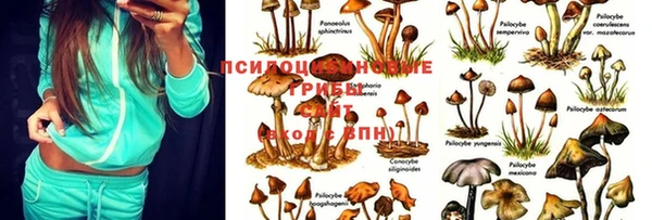 меф VHQ Красноперекопск