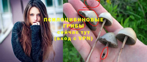 ГАЛЛЮЦИНОГЕННЫЕ ГРИБЫ Краснотурьинск