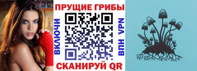 Галлюциногенные грибы GOLDEN TEACHER  Купить закладки  Шумерля 